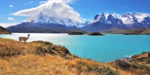 The Enigmatic Wonders of Patagonia