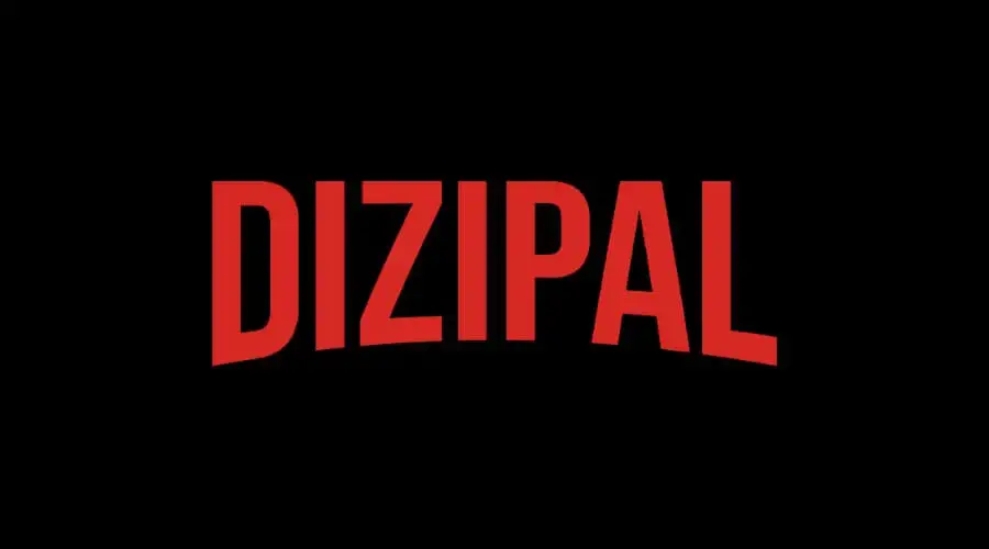 What is dizipal 554